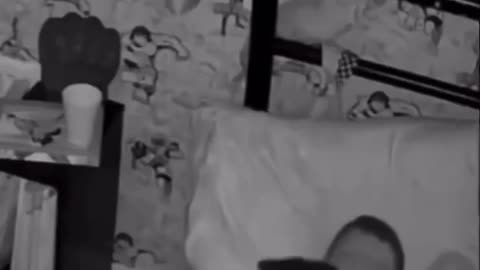 Owners couldn't figure out why the cat wasn't sleeping in its bed.. then they saw this.. 🥺