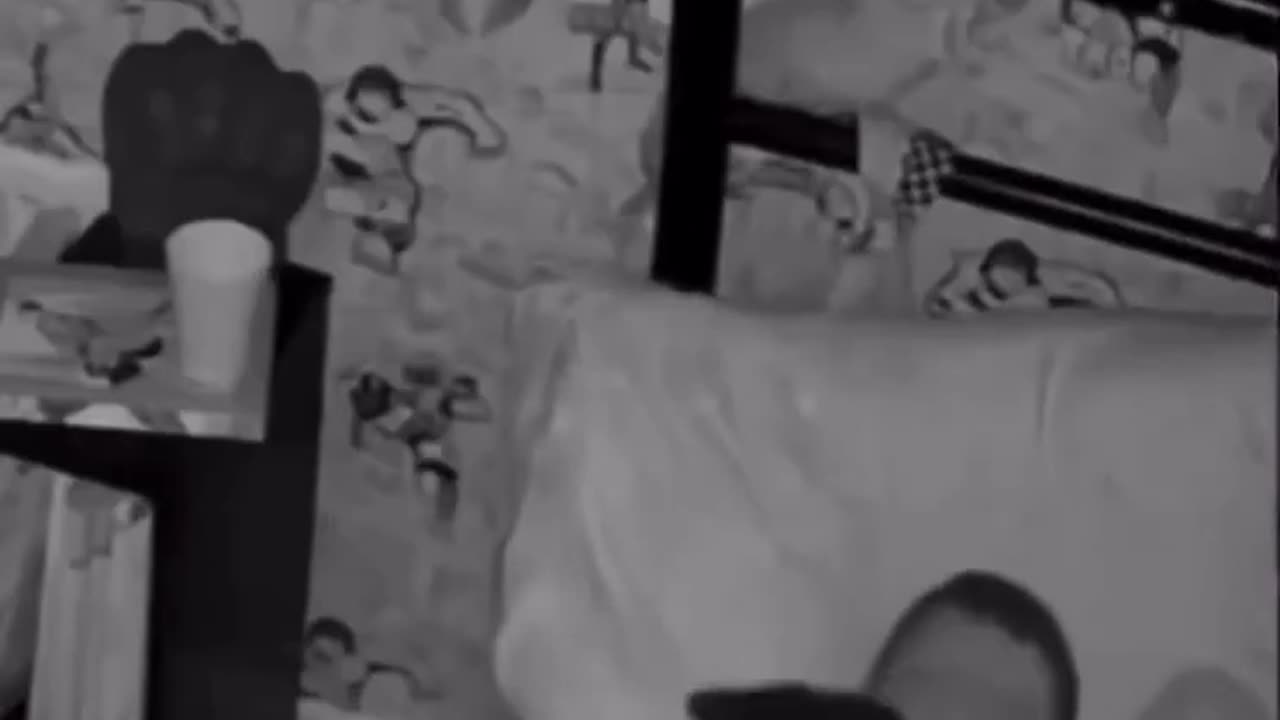 Owners couldn't figure out why the cat wasn't sleeping in its bed.. then they saw this.. 🥺