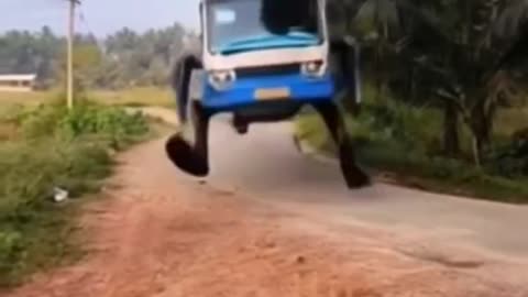 1 Million view funny video