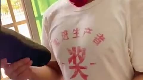 as trapalhoes japones.mp4