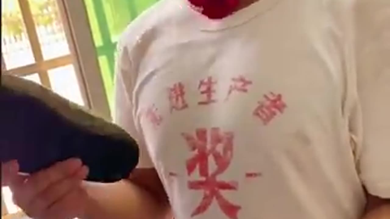 as trapalhoes japones.mp4