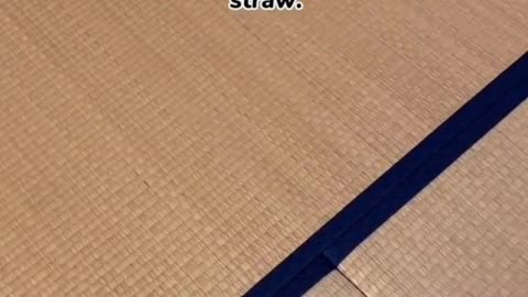 Why Do Japanese People Sleep on the Floor? 🛏️The Surprising Benefits of Tatami Dreams!