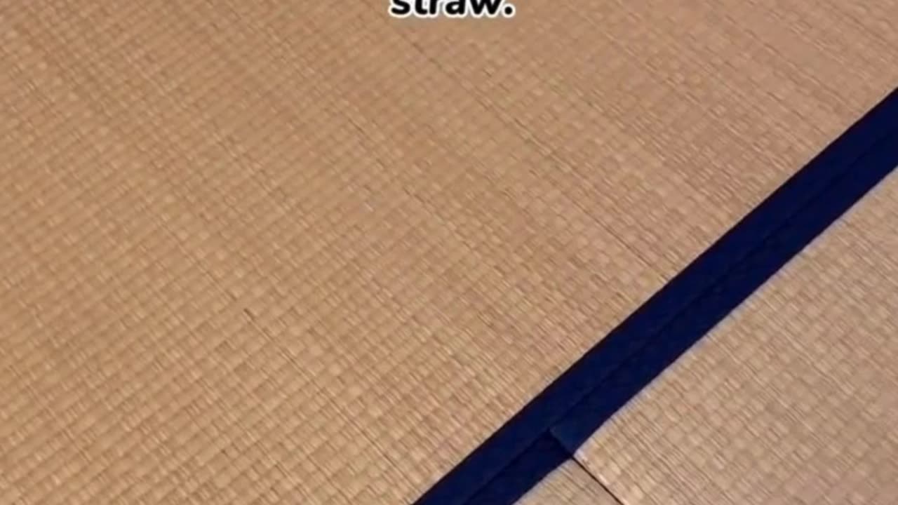 Why Do Japanese People Sleep on the Floor? 🛏️The Surprising Benefits of Tatami Dreams!