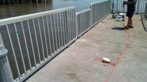 Cedar key Florida
