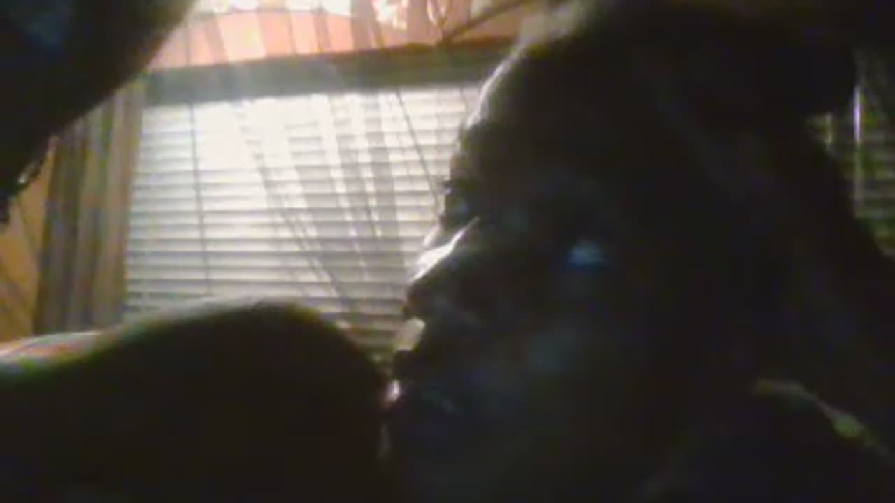 CITIZENS OF AMERICA ARE FKING SLAVES