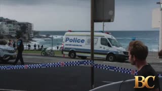 Bondi Beach shooting gunmen who killed 15 were father and son