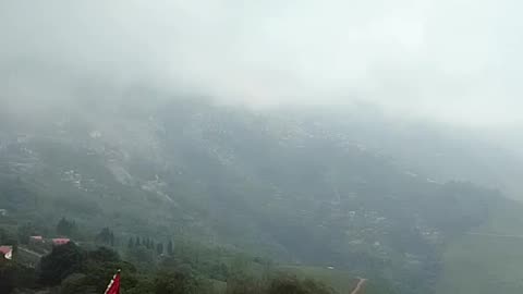 Bye Bye Darjeeling