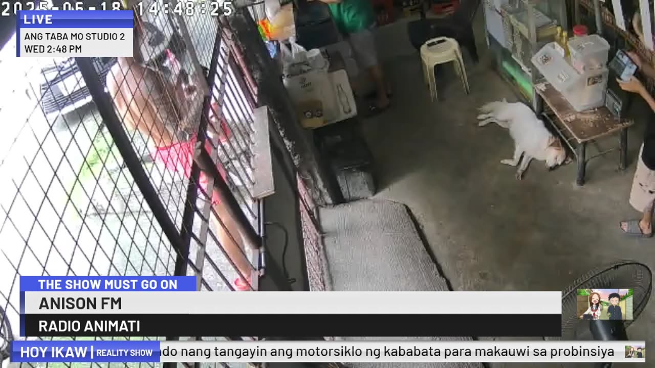 Mitsubishi Xpander 2019 Live