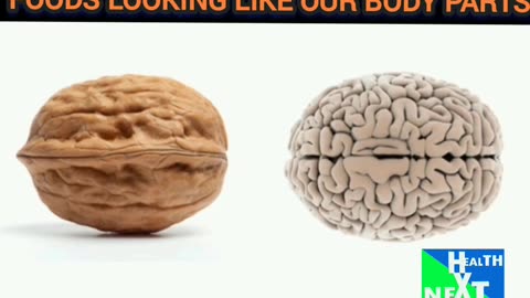 Foods with the same body shape for humans