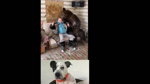 BEAR AND FRIEND WATCH SOME TV!!!