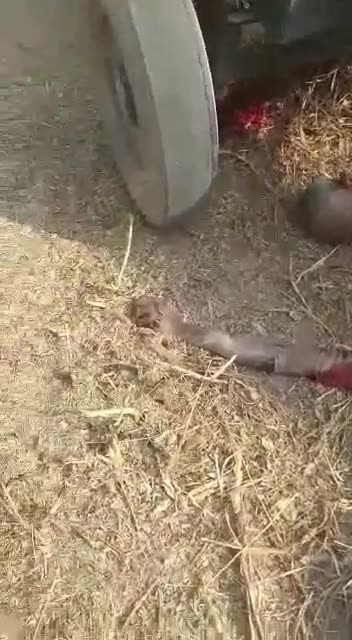 Horrible and very Ghapic accident @ Workplace