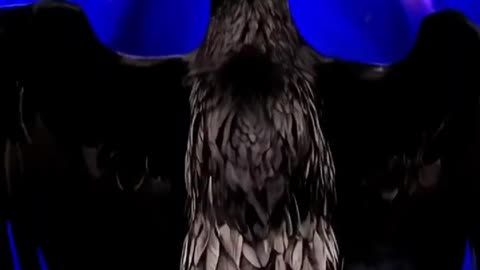 Daily Dose of Laughter: The Funniest Magic Moments Caught on Camera!