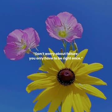 Don’t worry about failure; you only have to be right once.