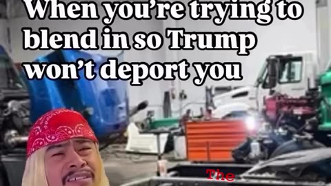 Politics - 2025 Humor You Are An Illegal Alien And Need To Try And Blend In But Get Deported Anyway