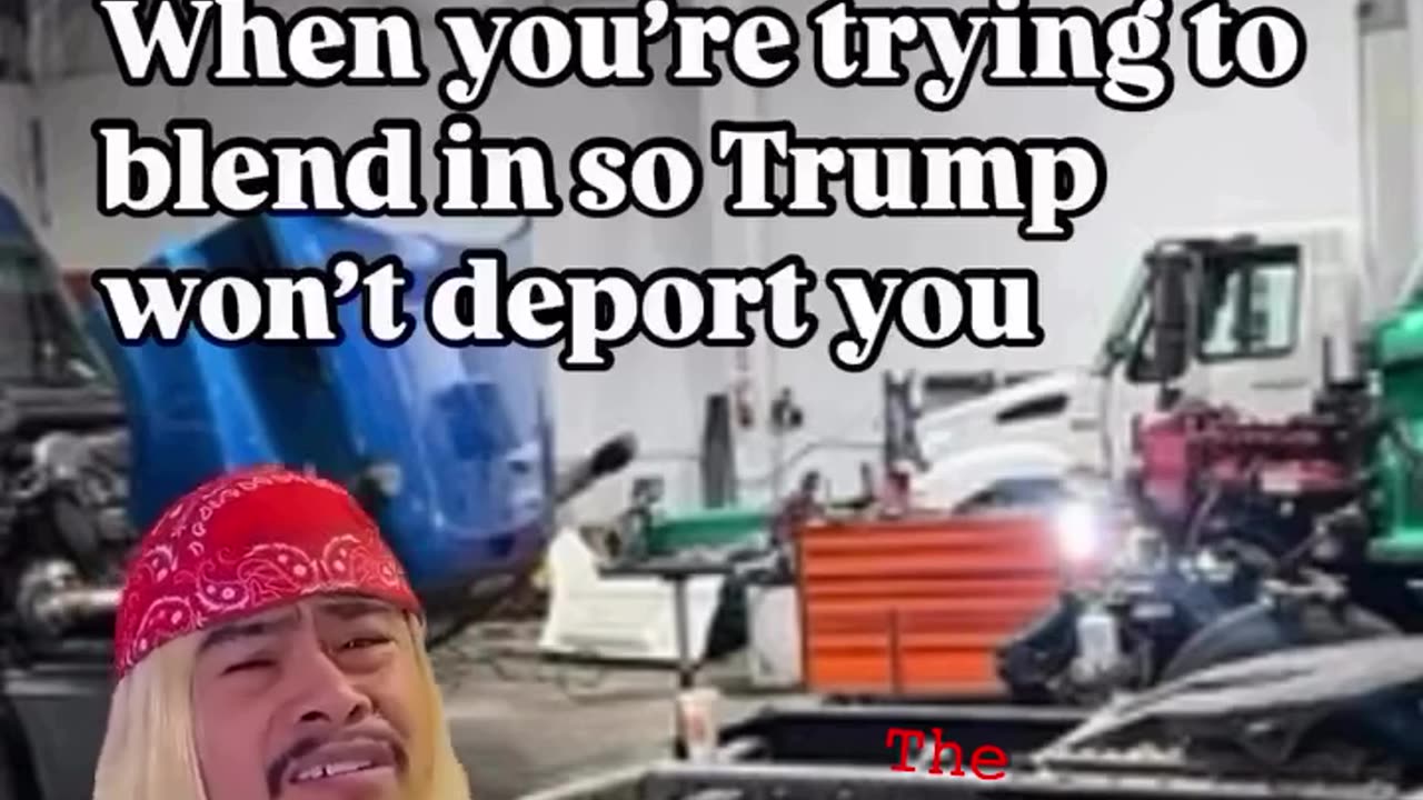 Politics - 2025 Humor You Are An Illegal Alien And Need To Try And Blend In But Get Deported Anyway