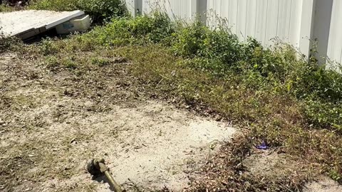 Abandoned House Turns Into H.O.A. Nightmare—No One Claims Ownership P10