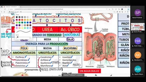 SAVIA SEMIANUAL 2024 | Semana 05 | Anatomía