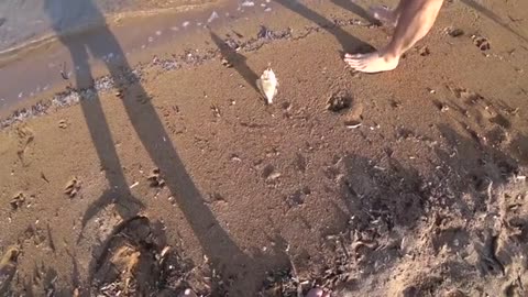 si ritorna a pesca nel mio mare terra SICILIA_part4