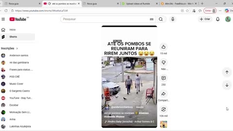 até os pombos se reuniram 🤣 #memes #comedia #humor -