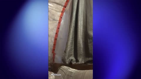 Morning Thoughts-13\11\25