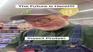 Insect Flour is Here Now