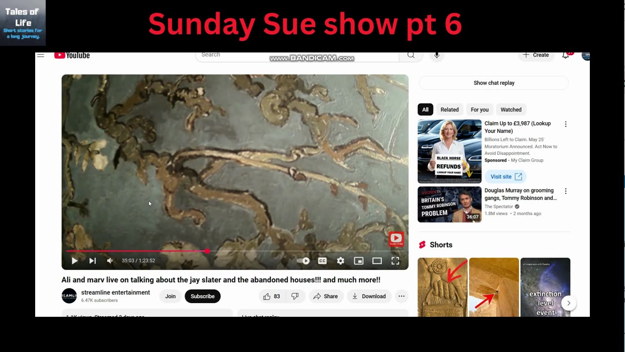 Sunday Sue Show pt 6 (Jayslater case)