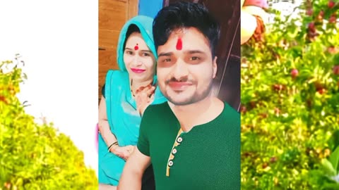 एक डाल पर तोता बोले एक डाल पर मेना दोनों दूर हे भी प्यार तो फिर भी है ना बोलो है ना