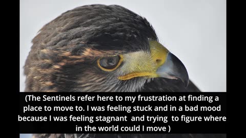 The Sentinels: The Hermetic Laws