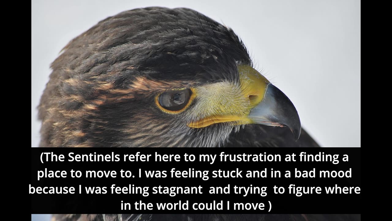 The Sentinels: The Hermetic Laws