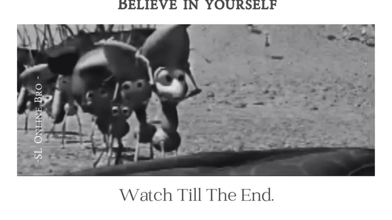 Never give up... believe in yourself.