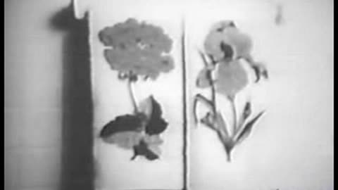 Commercial - Breeze Detergent w free towels 1968