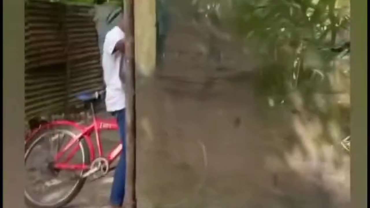 Best funny video 51