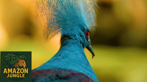 Majestic Victoria Crowned Pigeon 👑🕊️ | Rare Exotic Bird of the Jungle 🌿✨