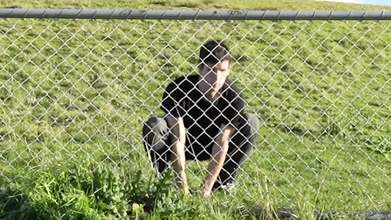 How Animals Tackle Fences: Emoji Edition!