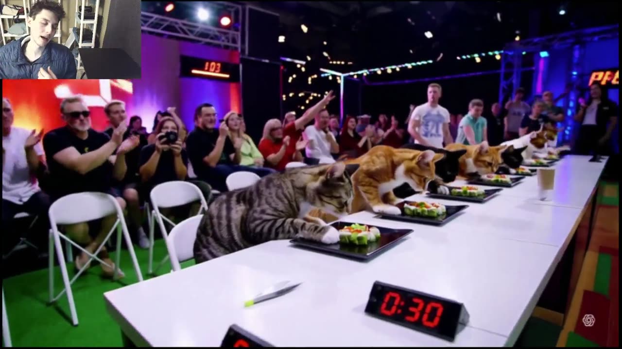 Outtake #1,205 Of The Cats Attempt The Vegan Sushi Eating Contest Fake Funny Parody Video