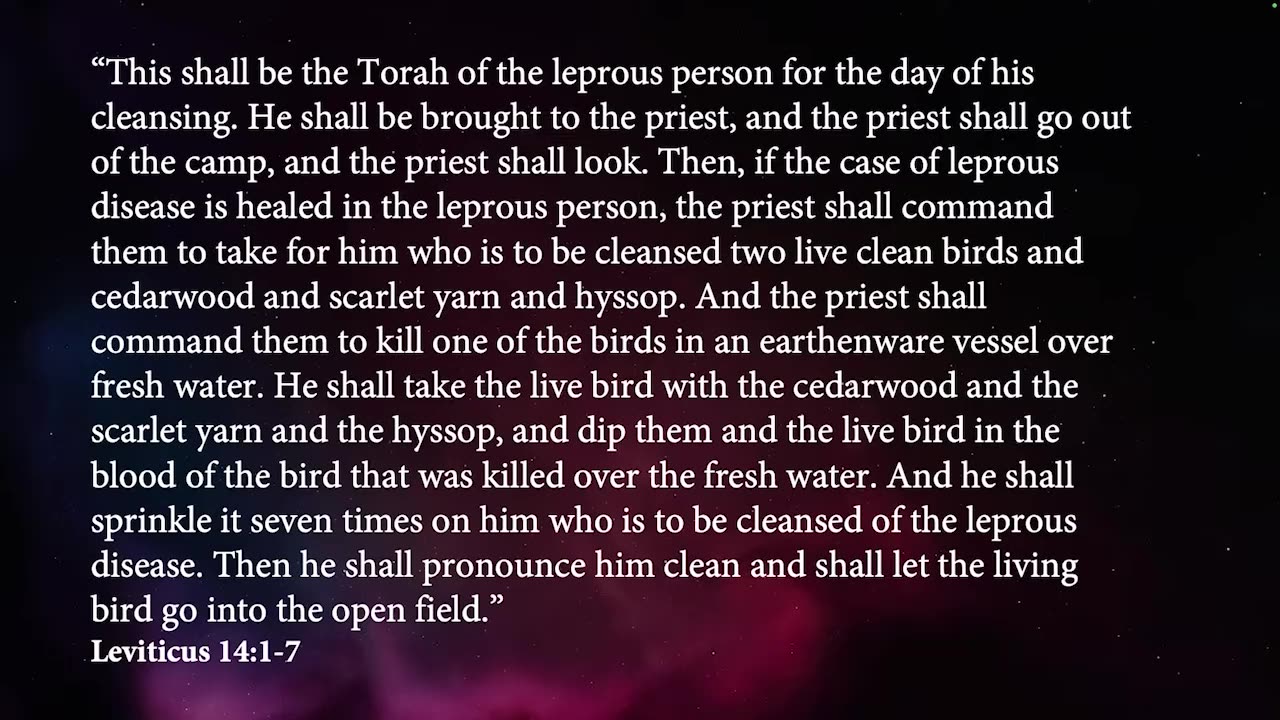 Ben Burton: "Ladder of Jacob" - Matthew 8 (Episode 9)