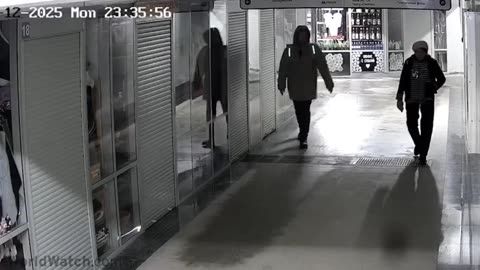 Evil Immigrant Kicks Old Woman In The Face In Random Attack