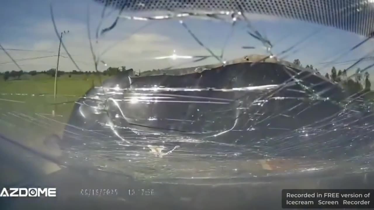 SMILE FOR THE DASHCAM YOU SHIT SKIN NIGGER