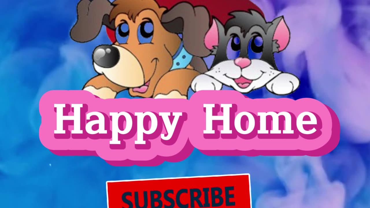 Cat friendship #friendship #animalshorts #catvideo