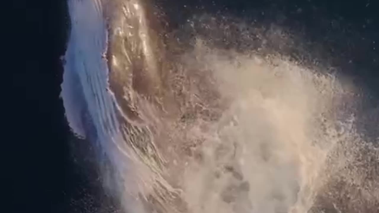 Whale dive