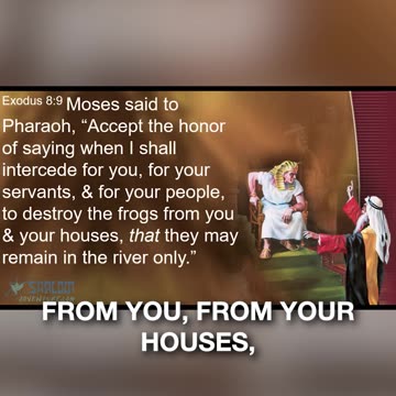 Frogs In Your Oven? The Gross Reality Of A Biblical Plague | Rabbi Jeff Zaremsky