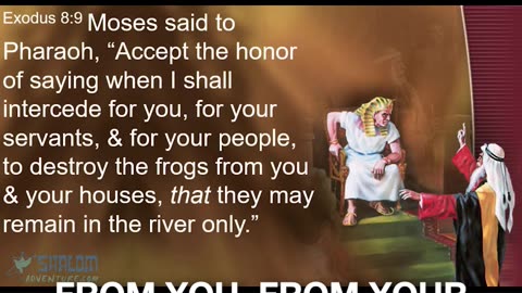 Frogs In Your Oven? The Gross Reality Of A Biblical Plague | Rabbi Jeff Zaremsky