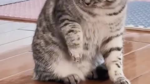 Funny