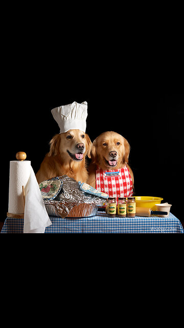 Puppy Toast 🐶🫣