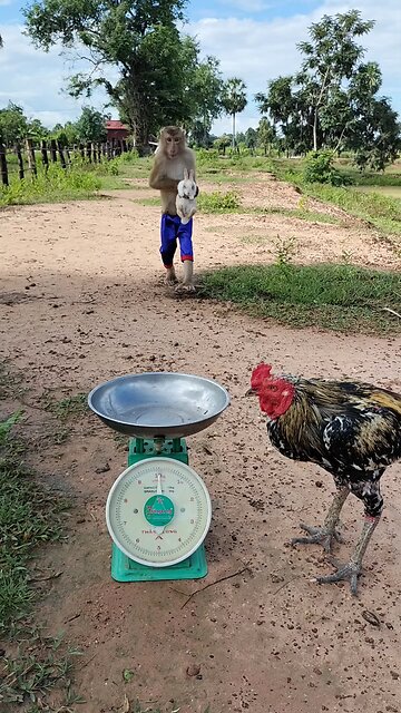 Good Job Best SokYaa, OG, Pao & Mom Are Famous Around The World #shorts #anime #trend #edit