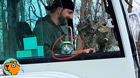Man Never Wanted a Cat But, Now They Do Everything Together | Cuddle Buddies