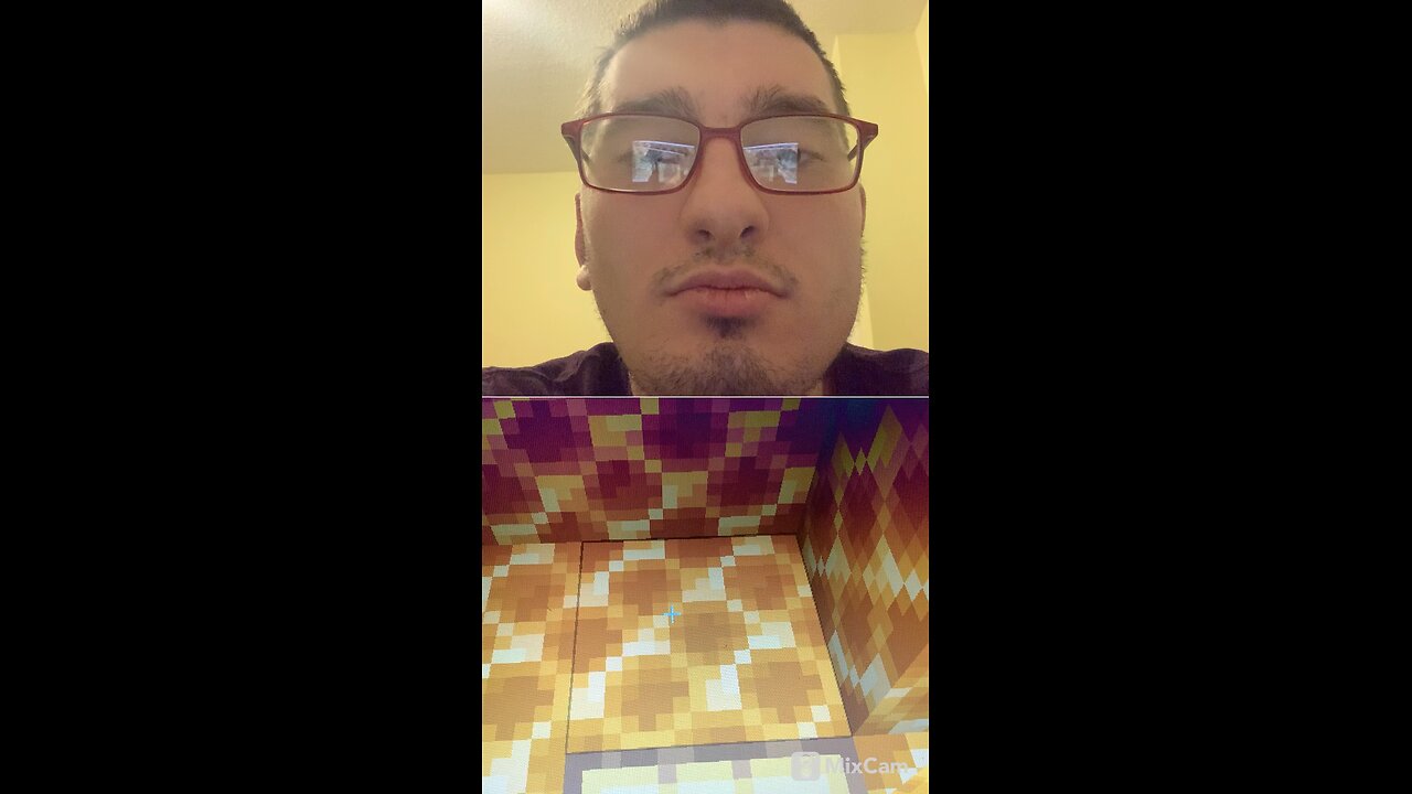 I built a bees nest in Minecraft