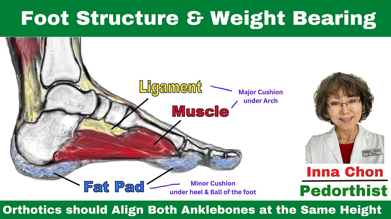 Foot Structure & Weight-Bearing