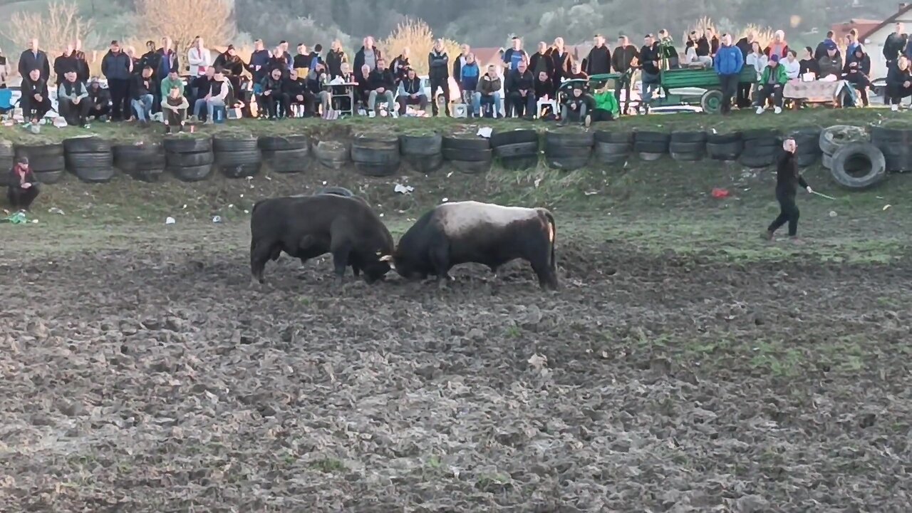 Zećo braća Mačkić vs Džebra Alem i Zuhdija