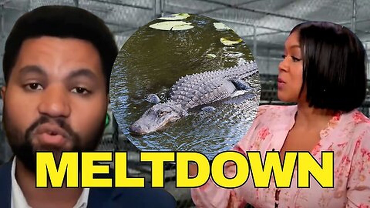 Democrats Call Alligator Alcatraz 'CONCENTRATION CAMP'